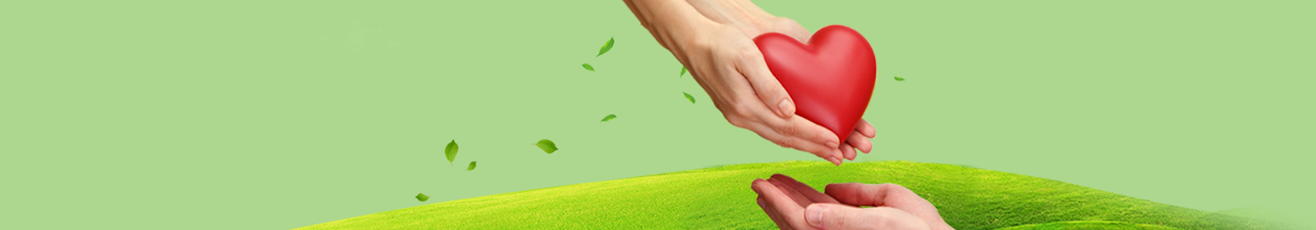 德兰基金会主题-善款支出